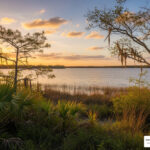 alcohol treatment centers in florida