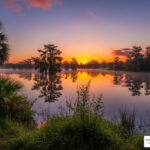 detox centers polk county florida