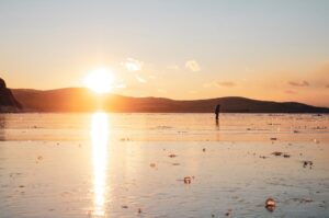 free rehab facilities in florida