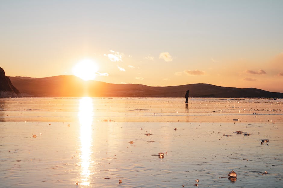 free rehab facilities in florida