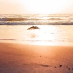 Florida substance abuse