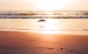 Florida substance abuse