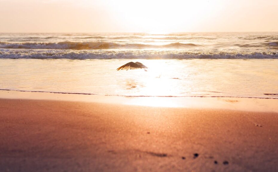 Florida substance abuse