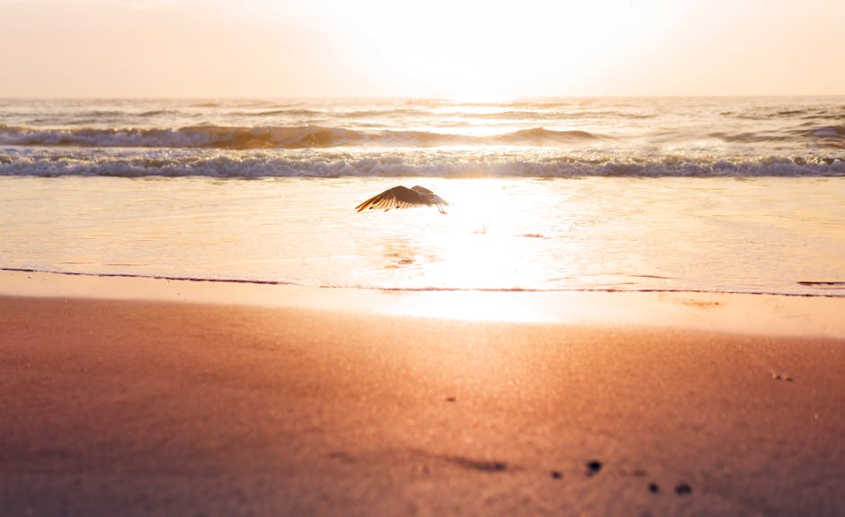 Florida substance abuse